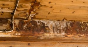 water damage from a roof leak